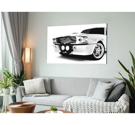Mustang Grill - Unframed Photograph on Metal