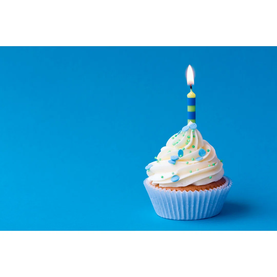 Birthday cupcake - Wrapped Canvas Photograph