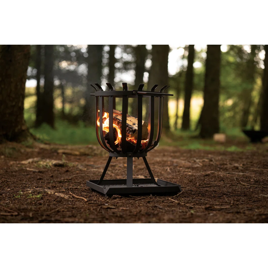 Quimby 48.5Cm H x 36Cm W Steel Wood Burning Outdoor Fire Pit with Lid