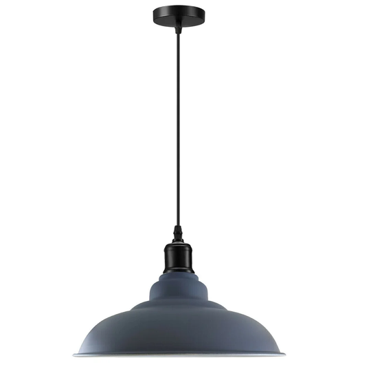 Quinnesec 1-Light Dome Pendant