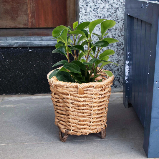 Wicker Indoor & Ourdoor Planter Pot With Leg | Seagrass Planter Cover For Houseplants , Balcony Garden , Multi-Purpose Storage Bin