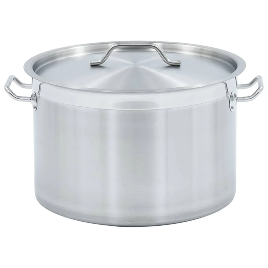 Alex 32 L Stock Pot with Lid