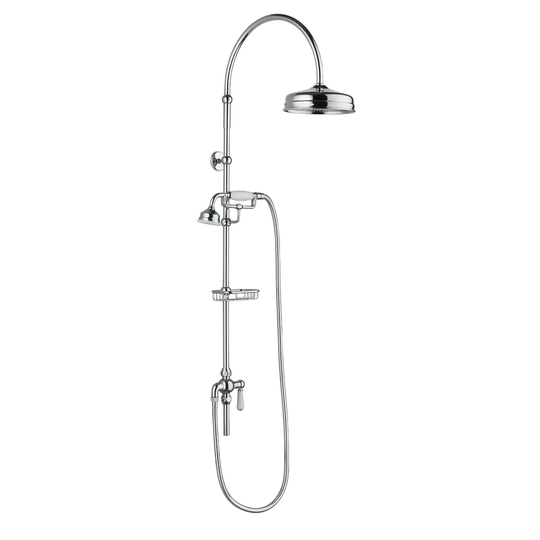 Mixer Shower Dual Shower Head