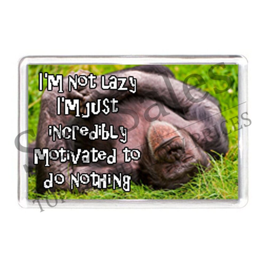 Funny Lazy Fridge Magnet Saying Quote Gift Novelty Teenager Fun Motivational Quote