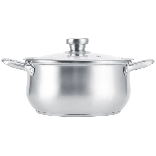 Larry 5 L Soup Pot with Lid