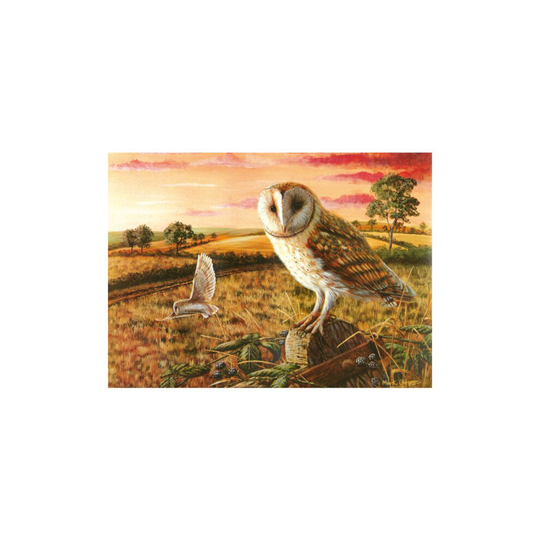 Tuftop Medium Textured Worktop Saver Barny Owl 40 x 30cm