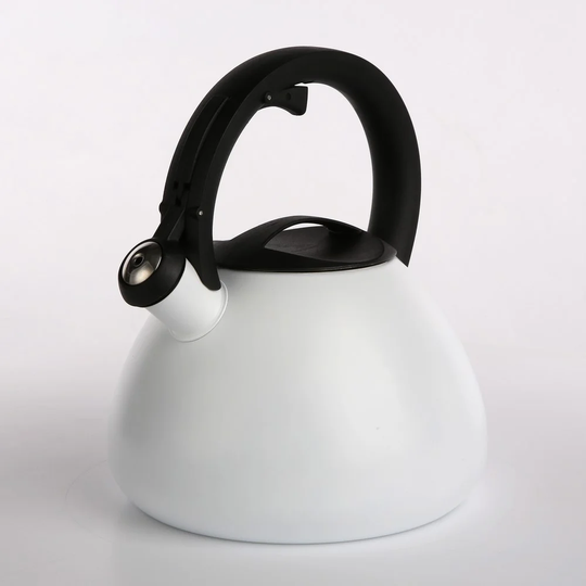 Massengill 2.5L Whistling Stovetop Kettle