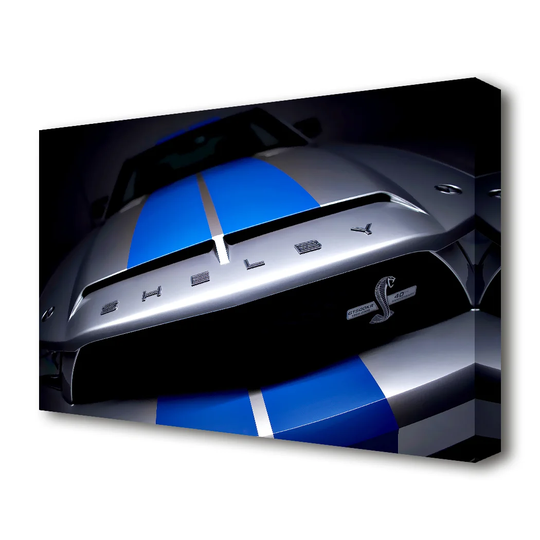 Mustang Shelby Grill - Wrapped Canvas Photographic Print