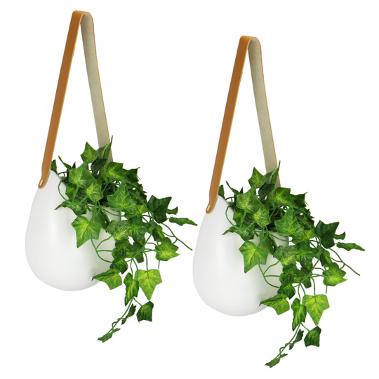 Hanging Wall Planters Set of 2 Ceramic Plant Pot Set Ceramic Flower Pot M&W
