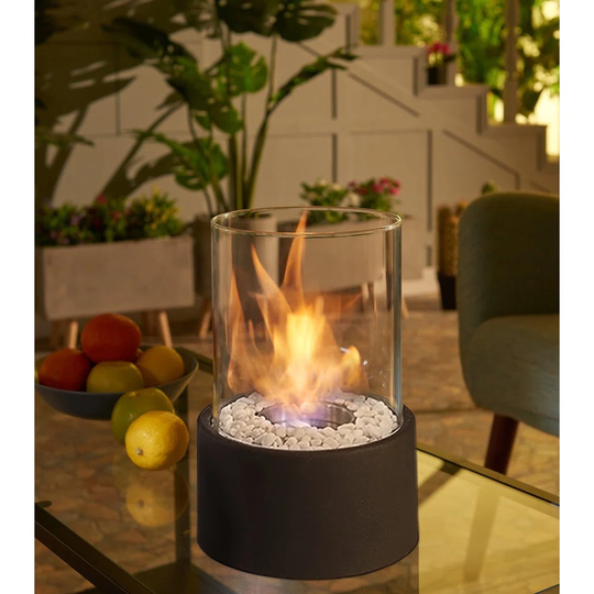 Gautreau Bio-Ethanol Tabletop Fireplace with Flame Guard