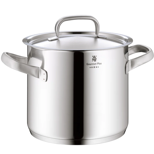 Gourmet Plus 8.8 L Stock Pot with Lid