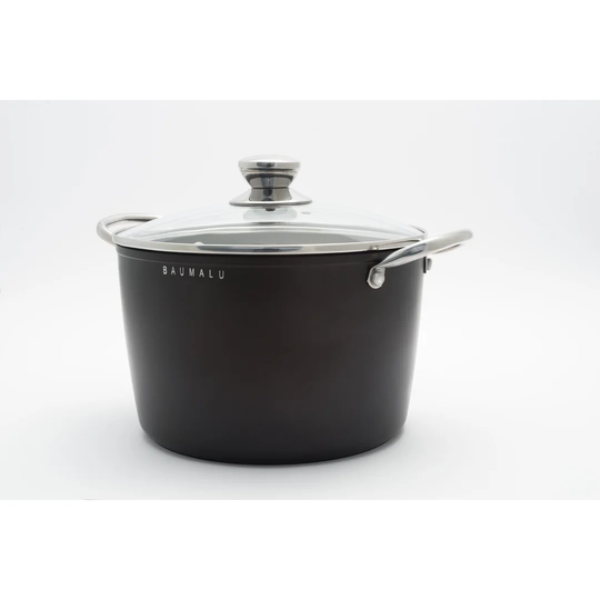 9 L Stock Pot with Lid