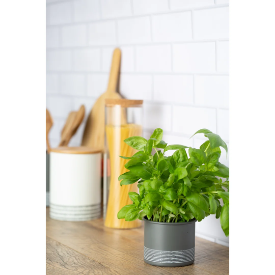 Monochrome Metal Plant Pot