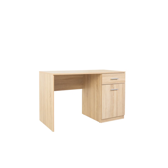 Ishi 120cm W Rectangular Computer Desk