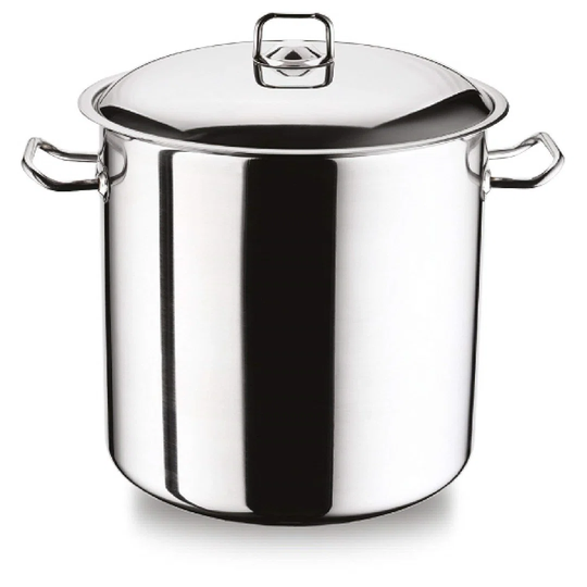 Emiliano 8.5 L Stock Pot with Lid