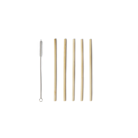 Eco Living Set of 5 Reusable Straws with Brush 20 Cm