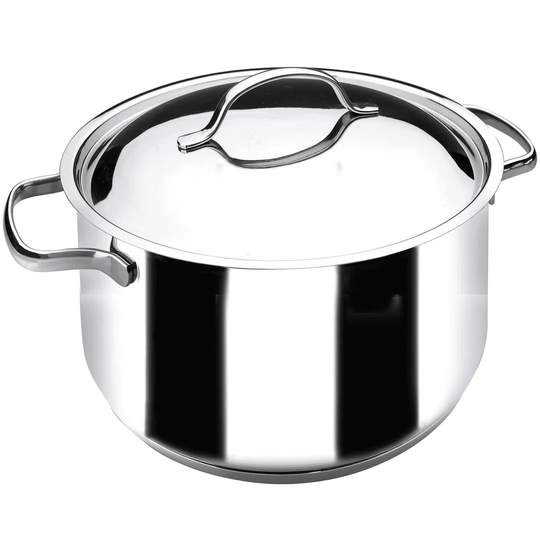 Theodis Stock Pot with Lid