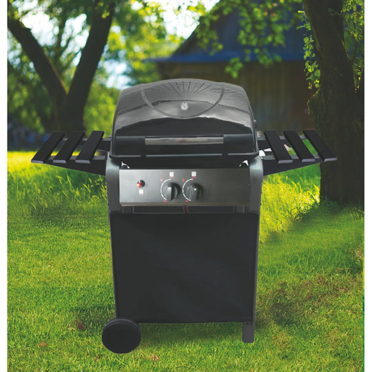 Hamaad 49cm 2-Burner Liquid Propane Gas Barbecue Grill