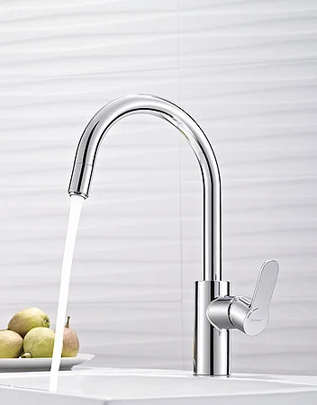 Genf Single Lever Monobloc Tap with Side Spray