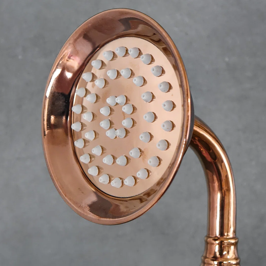 Michaelis Mixer Shower with Handheld Shower Head