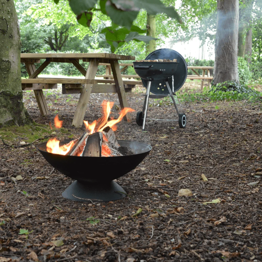 Tobago 23cm H x 56cm W Cast Iron Wood Burning Outdoor Fire Pit