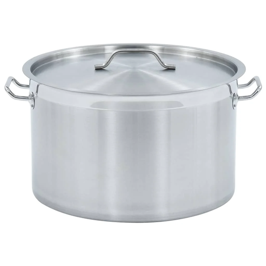 Cloyd 44 L Stock Pot with Lid