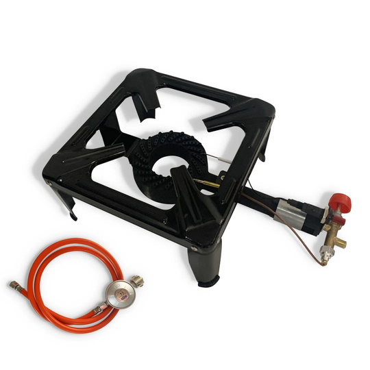 Anyelina Dakota Fields Single Burner Portable Natural Gas Gril