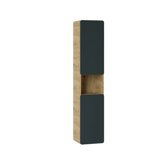 Aajaylah Wall Mounted Tall Bathroom Cabinet