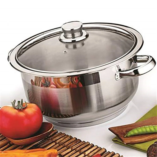 Damion 8.5 L Stock Pot with Lid