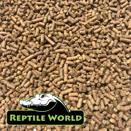(100g) Reptile World Axolotl Food Pellet - Sinking Insect Based Stick, Newt, Salamander