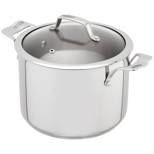 Stellar Stainless Steel Steamer Pot