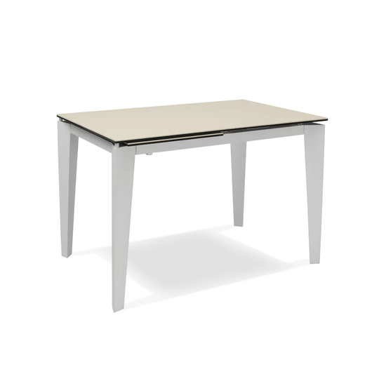 Brewton Extendable Dining Table