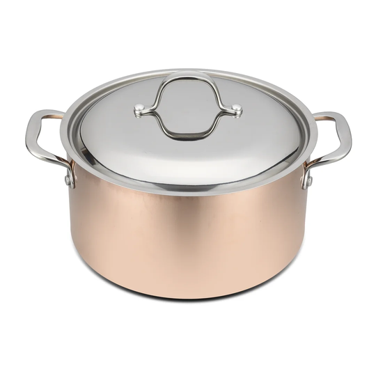 Brainerd 5.47 L Stock Pot with Lid