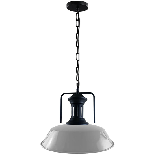 Daigle 1-Light Dome Pendant