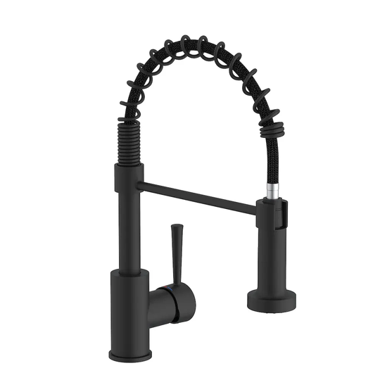 Tarik Pull Out Single Lever Monobloc Tap with Swivel