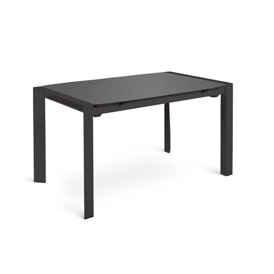 Briseno Extendable Dining Table