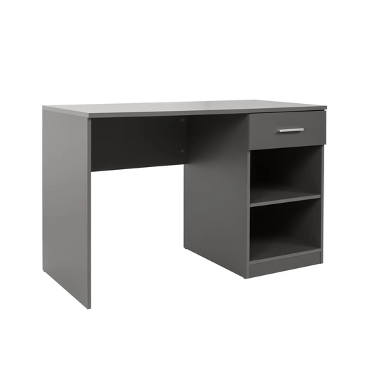 Ishiah 100cm W Rectangular Computer Desk