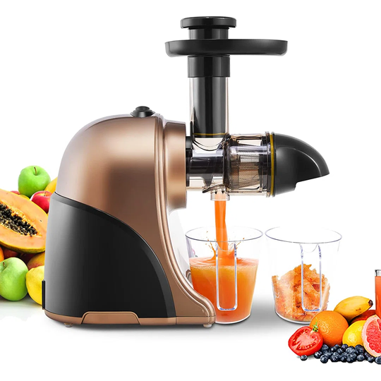 Slow Fruit Juicer Machines Masticating