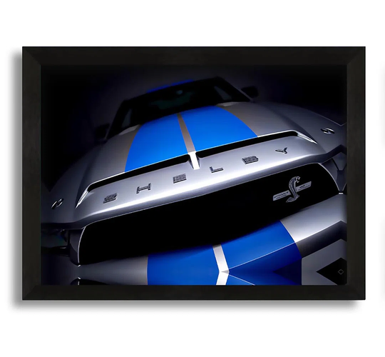Mustang Shelby Grill - Picture Frame Photograph on Canvas
