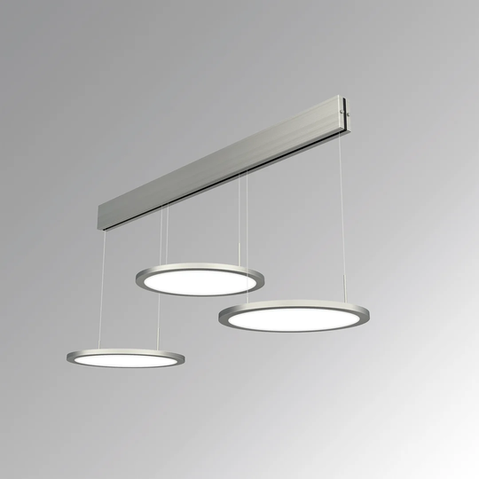 Waltham 3-Light LED Novelty Pendant