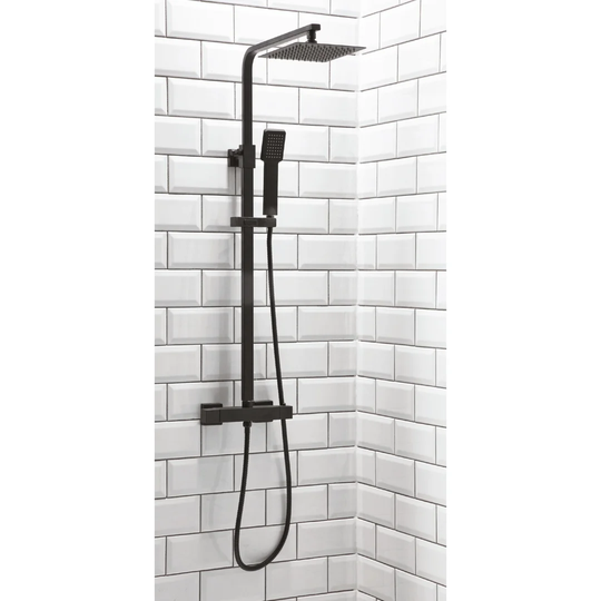 Aura Mixer Shower with Dual Shower Head