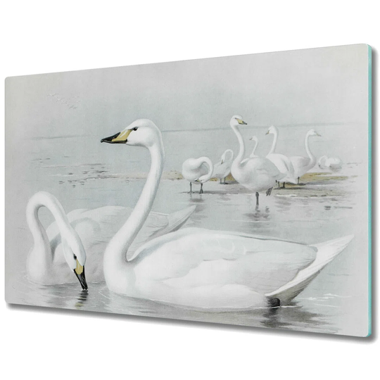 Paraiso Tempered Glass Swans Lake Chopping Board