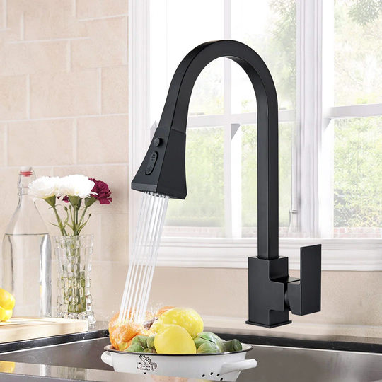 Kaelyn Pull Out Single Lever Monobloc Tap
