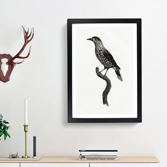 Nutcracker Bird by Jacques Barraband - Picture Frame Painting Print