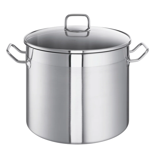 ProfessPlus i Stock Pot with Lid