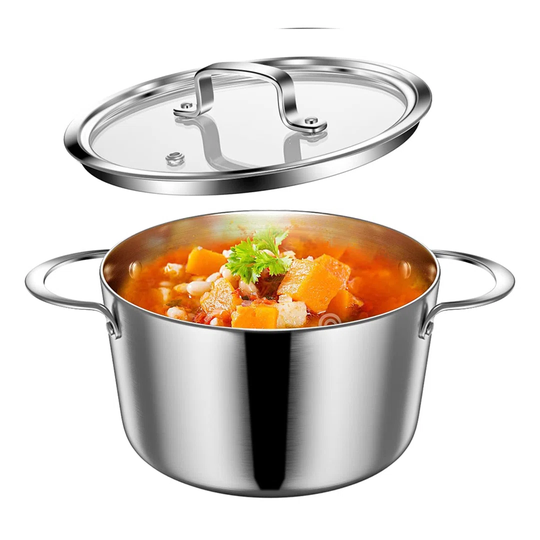 Shildon 3 L Soup Pot with Lid