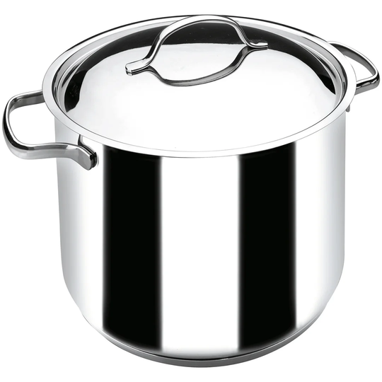 Terrill 13.5 L Stock Pot with Lid
