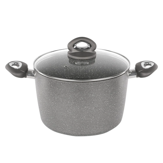 Martino 9.1 L Stock Pot with Lid