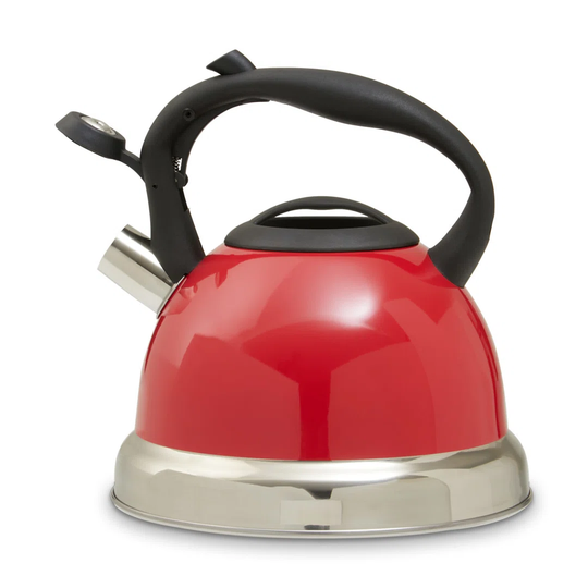 Peniste Stovetop Kettle