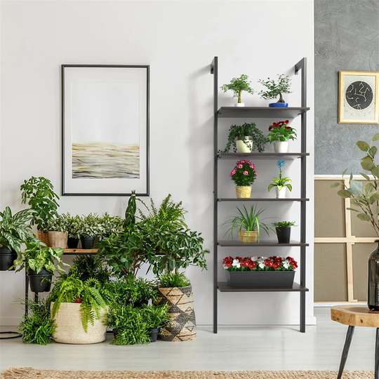 Edrick Bookcase
